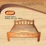 carpenter